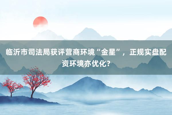 临沂市司法局获评营商环境“金星”，正规实盘配资环境亦优化？