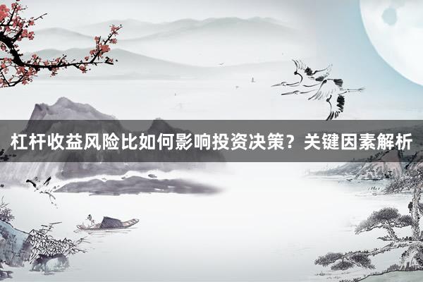 杠杆收益风险比如何影响投资决策？关键因素解析