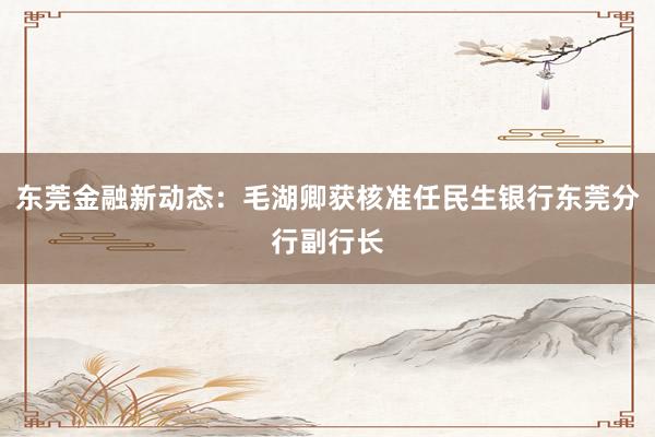 东莞金融新动态：毛湖卿获核准任民生银行东莞分行副行长