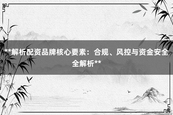 **解析配资品牌核心要素：合规、风控与资金安全全解析**