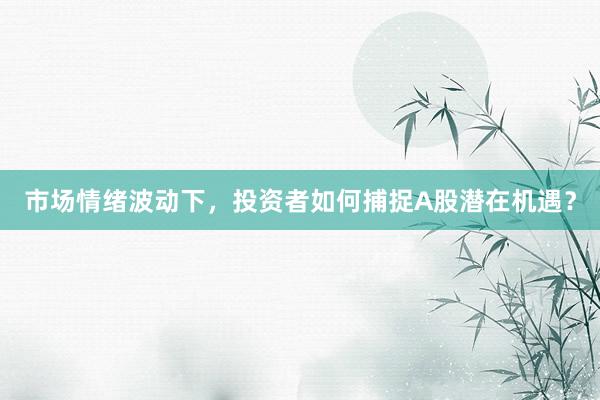 市场情绪波动下，投资者如何捕捉A股潜在机遇？