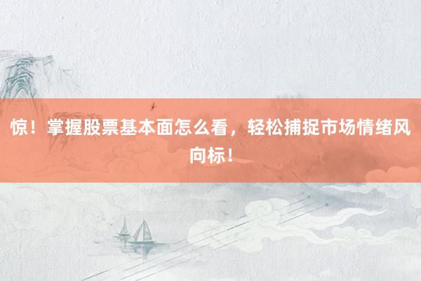 惊！掌握股票基本面怎么看，轻松捕捉市场情绪风向标！