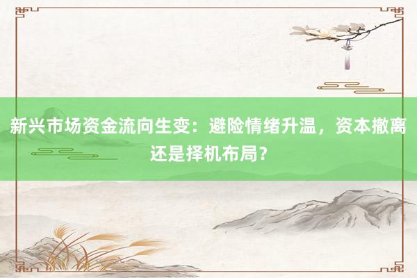 新兴市场资金流向生变：避险情绪升温，资本撤离还是择机布局？