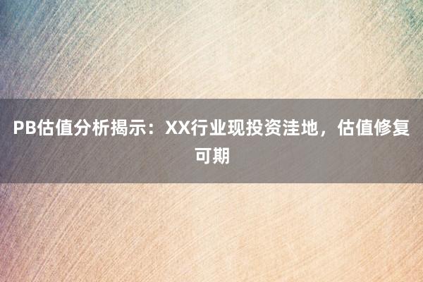PB估值分析揭示：XX行业现投资洼地，估值修复可期