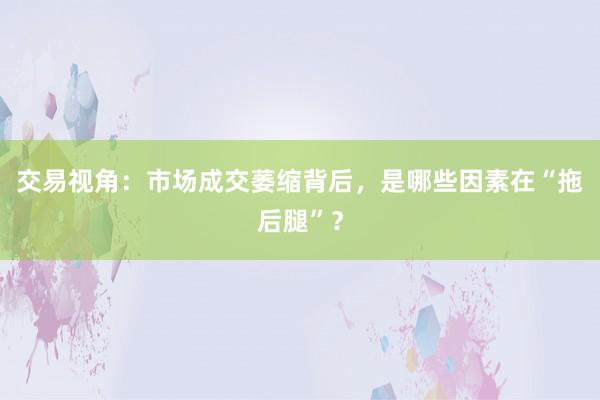 交易视角：市场成交萎缩背后，是哪些因素在“拖后腿”？