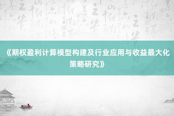 《期权盈利计算模型构建及行业应用与收益最大化策略研究》