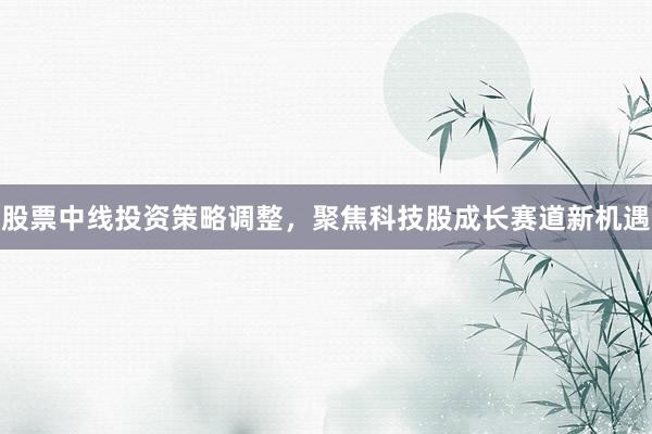 股票中线投资策略调整，聚焦科技股成长赛道新机遇