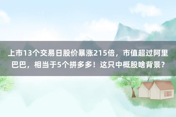 上市13个交易日股价暴涨215倍，市值超过阿里巴巴，相当于5个拼多多！这只中概股啥背景？