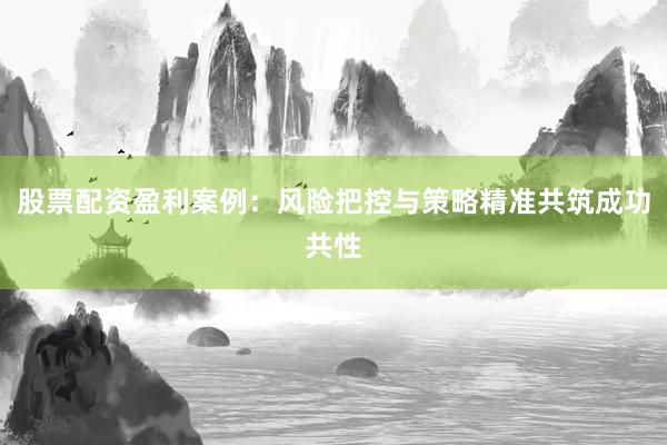 股票配资盈利案例：风险把控与策略精准共筑成功共性