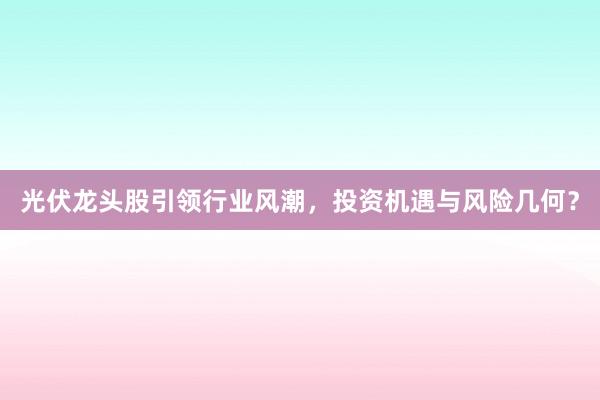 光伏龙头股引领行业风潮,投资机遇与风险几何?