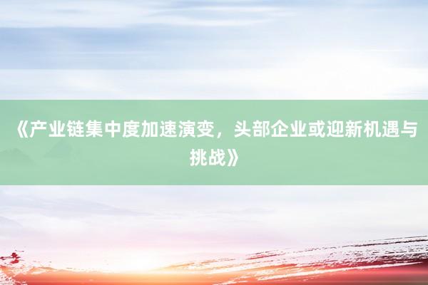 《产业链集中度加速演变，头部企业或迎新机遇与挑战》