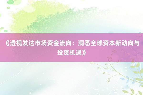 《透视发达市场资金流向：洞悉全球资本新动向与投资机遇》