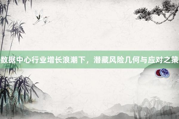数据中心行业增长浪潮下，潜藏风险几何与应对之策