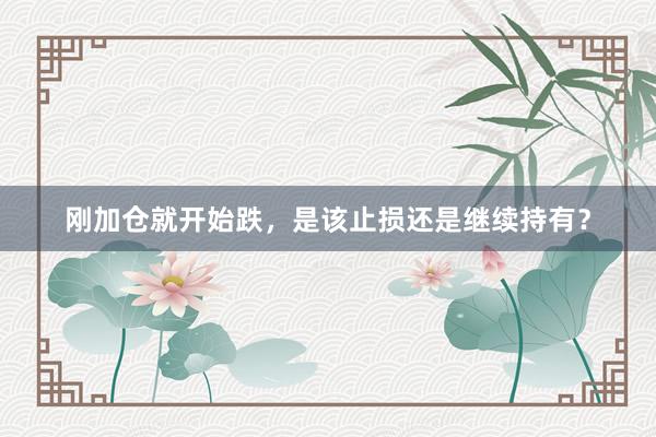 刚加仓就开始跌，是该止损还是继续持有？