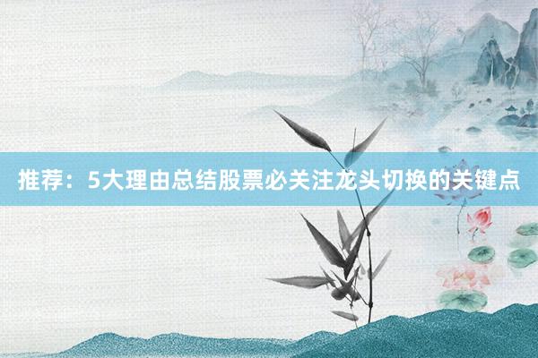 推荐：5大理由总结股票必关注龙头切换的关键点