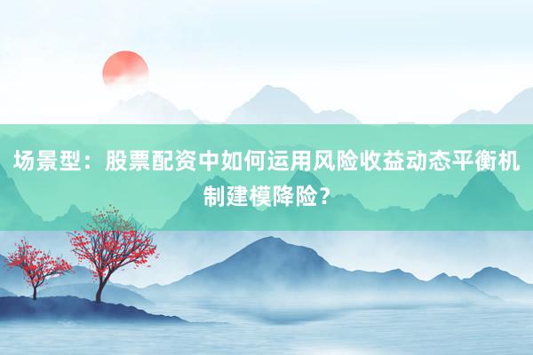 场景型：股票配资中如何运用风险收益动态平衡机制建模降险？
