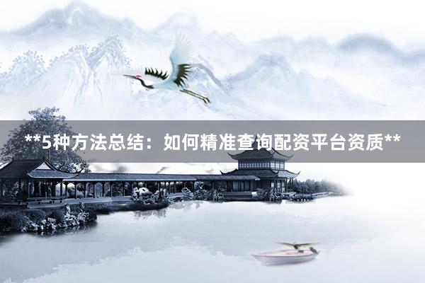 **5种方法总结：如何精准查询配资平台资质**